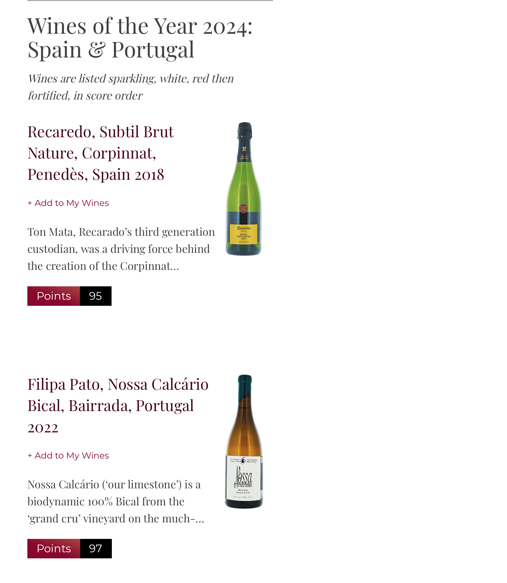 Wines of the year 2024: Spain and Portugal, by Decanter